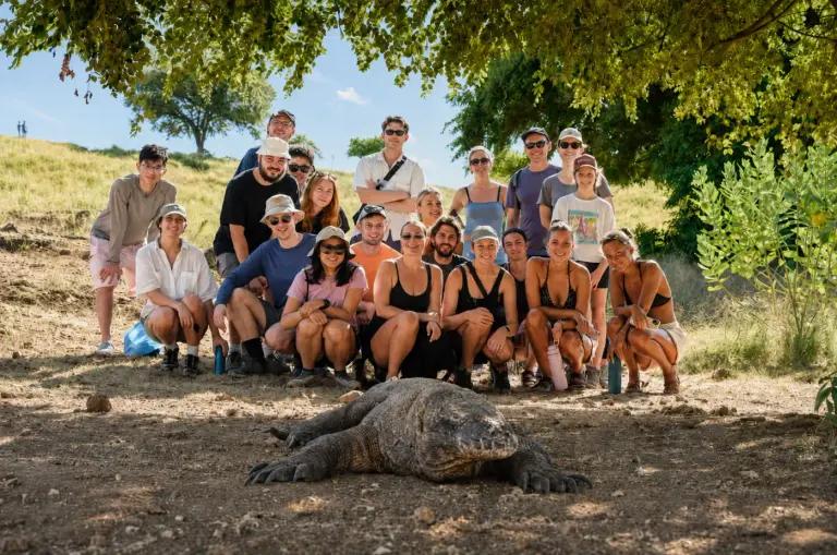 Are Komodo Dragons Dangerous? Do They Really Bite People? (2026)
